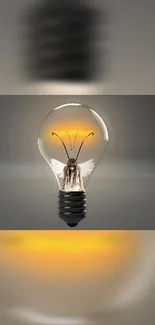 Lightbulb with angel inside creating a surreal, artistic mobile wallpaper.