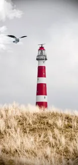 Lighthouse and seagull on a cloudy day.