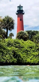 Lighthouse with palm trees and blue ocean view in vibrant landscape.