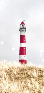 Red and white lighthouse in misty field landscape.