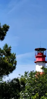 Serene lighthouse amidst lush greenery under a clear blue sky.