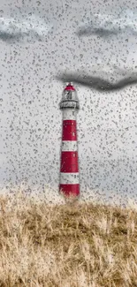 Lighthouse in rain with dramatic sky and tall grass