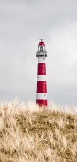 Lighthouse Sky Plant Live Wallpaper