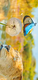 Lion and butterfly by water reflection