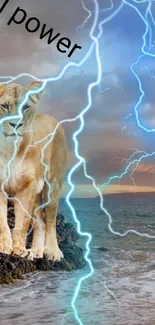 Empowering lion with lightning at a sunset beach, symbolizing girl power.