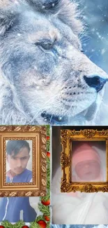 Lion with snowy background and framed portraits.