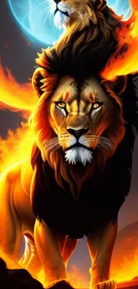 Lion Carnivore Felidae Live Wallpaper