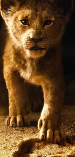 Lion cub steps next to paw print in golden light.