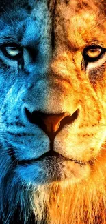 Dual-tone lion wallpaper with blue and orange hues.