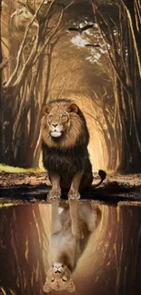 Lion reflected in serene forest path with artistic flair.