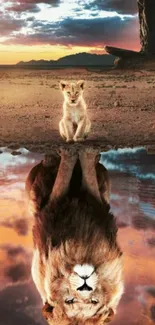 Majestic lion reflection in desert landscape mobile wallpaper.