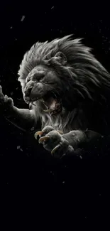 Majestic roaring lion in the dark wallpaper.