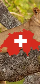 Majestic lion rests on a tree with Swiss flag.