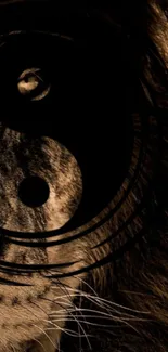 Lion's face with Yin Yang overlay in dark artistic wallpaper.