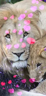 Majestic lion family in natural habitat, featuring lion, lioness, and cub.