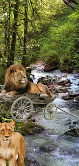 Lions in a lush forest setting by a gentle stream.