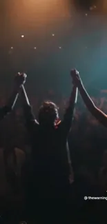 Concert crowd scene with stage lights at a live music event.