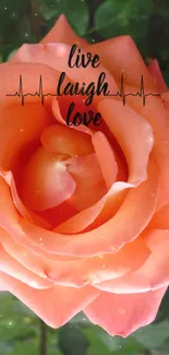 Peach rose with 'Live Laugh Love' text overlay.