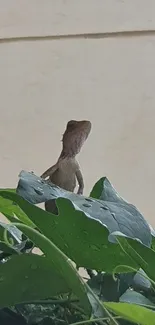 Lizard perched on lush green leaves in nature.