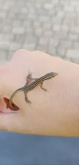 Lizard resting on a hand with blurred background.