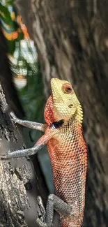 A vibrant lizard climbing on textured tree bark.