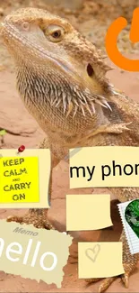 Lizard on rocks with motivational stickers and a phone symbol.