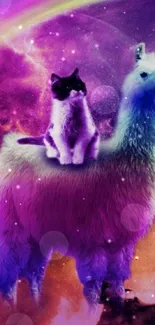 Llama with cat on back in a colorful galaxy background.