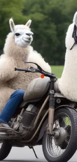 Two llamas comically riding a motorbike in a lush outdoor setting.