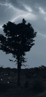 Silhouetted tree under lightning-filled sky.