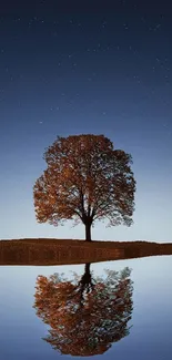 Solitary tree reflecting in a calm lake under a starry night sky.