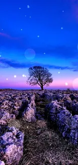 Solitary tree in a rocky landscape at vibrant sunset.