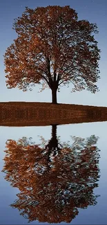 Lone tree reflected in calm lake under a starry night sky with a crescent moon.