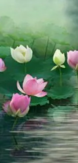 Lotus blossoms in a serene moonlit pond wallpaper.