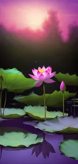 Mobile wallpaper of a lotus pond with pink sky and green lotus leaves.