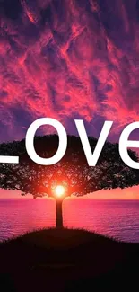 Vibrant sunset wallpaper with tree silhouette and 'Love' text.