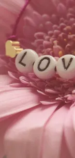 Close-up of a pink flower with 'LOVE' charm bracelet.