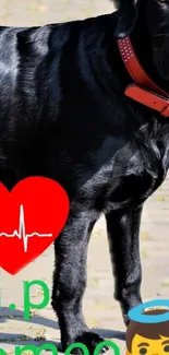 Mobile wallpaper featuring a black Labrador with a red collar and heart icon.