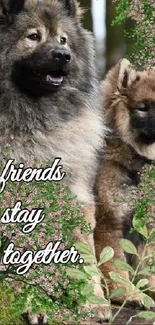 Fluffy dogs in nature with text 'friends stay together'.