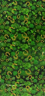 Green wallpaper with clovers and golden horseshoes.