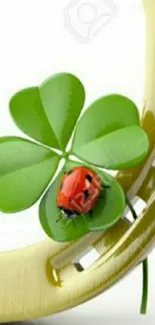 Green clover and ladybug on a gold background wallpaper.