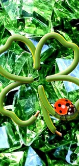 Green clover and ladybug on bright emerald background.