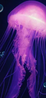 Purple glowing jellyfish in deep sea wallpaper with bubbles.