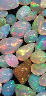 Colorful opal gemstones with vibrant hues.