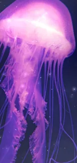 A glowing purple jellyfish gracefully floats in the dark ocean background.