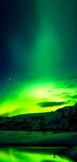 Aurora lights illuminating a snowy landscape under the starry night sky.