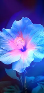 Enchanting luminous blue flower wallpaper with vibrant petal glow.