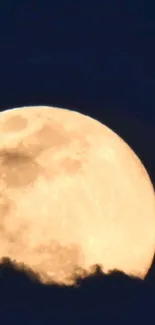 Full moon glowing against a dark night sky.