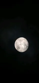 Luminous full moon against a black night sky.