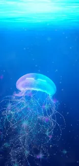 Luminous jellyfish glowing in deep blue ocean wallpaper.