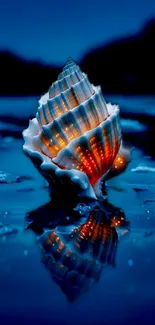 Glowing seashell reflecting on blue ocean waters at night.